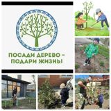 18 апреля в Ростовской области обозначен "Днем древонасаждения".